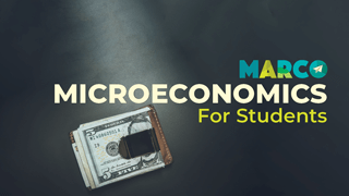 Marco Learning's AP Microeconomics for students product tile