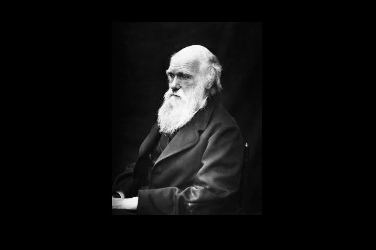 Black and white photo of Charles Darwin. Darwin is bald with a long white beard in the photo.