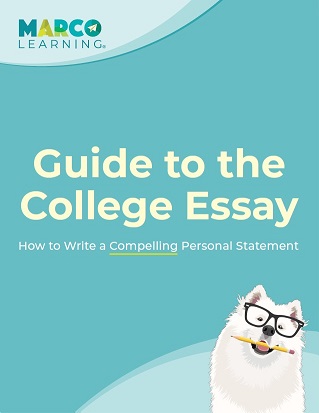 college essay guide front cover