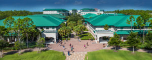 florida gulf coast university camous with palm trees and buildings